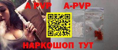 СК Новокубанск