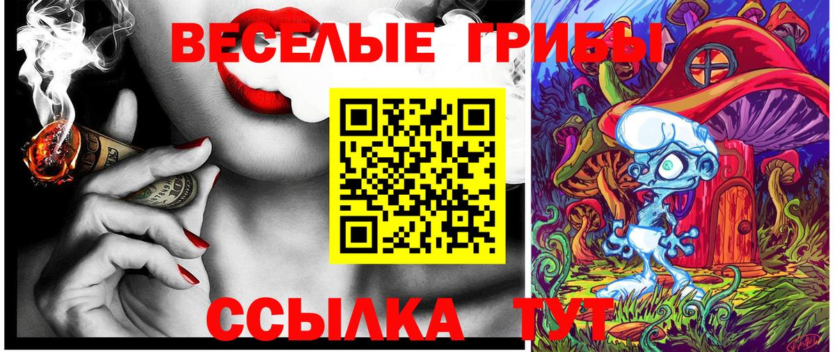 Псилоцибиновые грибы Psilocybe  Галлюциногенные грибы GOLDEN TEACHER  Вход с VPN  Протвино 